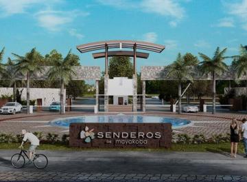 Terreno / Lote · 300m² · Lote en Venta en Residencial Senderos, Residencial Dentro de Ciudad Mayakoba C3179