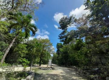 Terreno / Lote · 10000m² · Lote Residencial en Venta en Aldea Coral Chemuyil | Ideal Para Inversion | P3911
