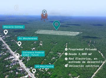 Terreno / Lote · 999m² · Hermosos Lotes Residenciales en Venta a en Francisco Uh May a 20 Minutos de Tulum P3998