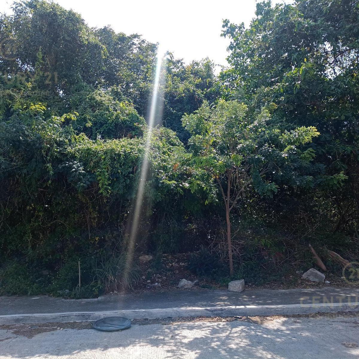 Land for Sale or Rent in Ejido Sur, Playa del Carmen C3898