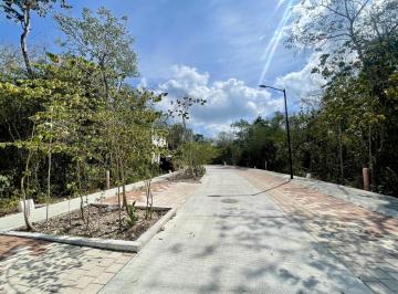 Terreno / Lote · 300m² · Lote Residencial en Venta | Mayakoba Country Club | Invierte Rodeado de Naturaleza y Golf | P4159