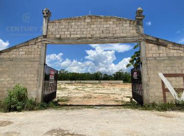 Terreno / Lote · 10000m² · Terreno en Renta Bardeado Cerca de Av Lopez Portillo C3888