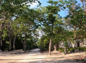 Terreno / Lote · 10000m² · Terreno en Venta Ubicado en Chemuyil, Aldea Coral. C3962