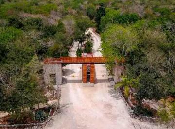 Terreno / Lote · 10523m² · Lote en Venta en Aldea Coral Chemuyil Tulum | Cerca de La Entrada Principal | C3978