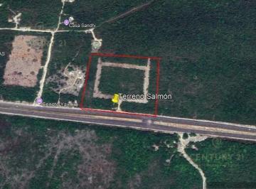 Terreno / Lote · 30020m² · En Venta Terreno Sobre Carretera 10 Min de Tulum