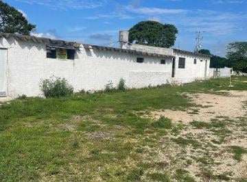 1 · Terreno de 40,000 m² en Renta en Timucuy