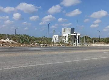 1 · Terreno en Venta Sobre La Carretera Costera Chicxulub Puerto