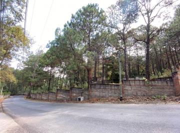 Terreno / Lote · 5971m² · Terreno en Venta - (4)