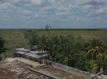 Rancho de 1 habitación, Buctzotz · Rancho Ganadero en Venta