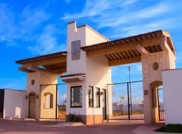 Terreno / Lote , Apaseo el Grande · Traspaso Terreno ¡Invierte en Tu Futuro o Construye La Casa de Tus Sueños!