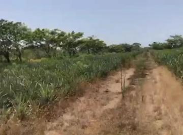 1 · Terreno en Venta a Orilla de Carretera en La Localidad Laguna Veracruz 1.6 Ha