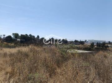 Terreno / Lote , Chapala · Terreno en Venta en Fracc. Los Ejidales, Chapala | 180 m² y Uso Habitacional