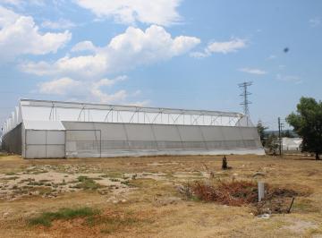 Inmueble productivo urbano , Agua Blanca de Iturbide · Estructura de Invernadero