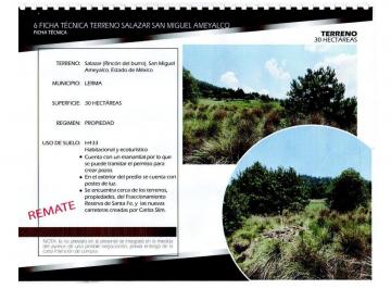 Terreno comercial , Lerma · Terreno en Salazar (Rincon del Burro) San Miguel Amelyalco, Edomex.