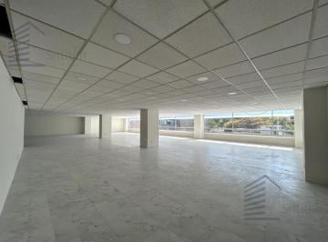 Oficina · 277m² · 5 Estacionamientos · Oficina en Renta - Hamburgo - 277 m² - Piso 3
