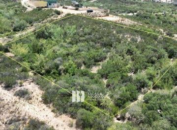 252bfd4d42acad2bb791b7b3ba553e02d5c83d6b737d6493b7e363e3c417b176 · 3557 m² un Santuario Botánico y Vitivinícola en Valle de Guadalupe.