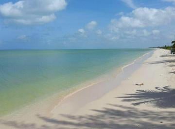 Terreno / Lote · Venta de Terreno a Orilla de Pplaya en Celestum, Yucatán, México