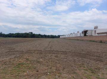 Terreno / Lote , Coronango · Venta de Terreno en San Francisco Ocotlan, Coronango