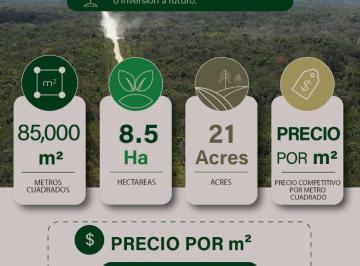 Terreno / Lote , Benito Juárez · Inversión de Alto Potencial en Cancún | 85,393 m² con Gran Proyección