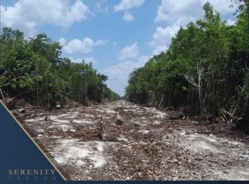 Terreno / Lote , Benito Juárez · Inversión de Alto Potencial en Cancún | 85,393 m² con Gran Proyección