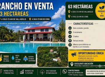 Terreno / Lote , Valladolid · Rancho en Venta – 63 Hectáreas