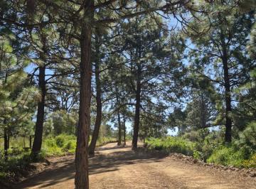 Terreno / Lote , Tapalpa · Terrenos en Tapalpa Jalisco a Pie de Carretera – Financiamiento Fácil
