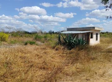 Rancho de 1 habitación, Tizimín · Rancho Ganadero Para Reactivar.