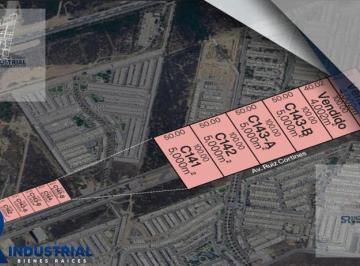 Terreno / Lote · 5000m² · Terreno en Renta en Zona Cumbres