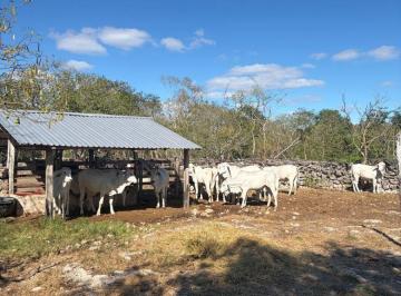 Rancho de 2 habitaciones, Buctzotz · Rancho El Refugio en Yucatán