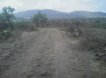 Terreno / Lote , Temascalapa · Terreno Rustico en Venta Temascalapa Edomex