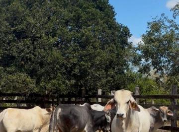 Rancho de 4 habitaciones, Espita · Rancho en Yucatán con Ubicación Privilegiada