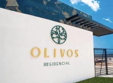 1 · Lotes en Venta | Olivos Residencial | Av Paseo de Los Solares, San Juan de Tilcuautla, Hidalgo.