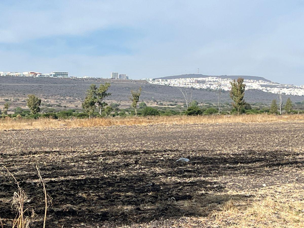 50 Ha en Venta con Pozo Zona El Marquez Precio por Hectarea