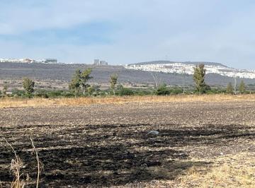 Rancho de 1 habitación, El Marqués · 50 Ha en Venta con Pozo Zona El Marquez Precio por Hectarea
