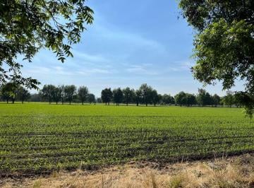 Rancho de 1 habitación, El Marqués · 50 Ha en Venta con Pozo Zona El Marquez Precio por Hectarea