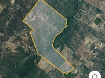 fb09a4f8089615528bdf8ad893327b70ea8f98370c18c8ce009551eaa2f55309 · Venta de Rancho en General Terán