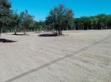 8c2673ff3f9bb615c7d6621be9c67186aabbbf066118c8c6045e122a46b49533 · Venta de Terreno Sobre Carretera Al Fraile en Allende
