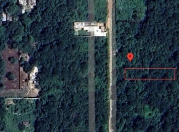 1 · En Venta de Terreno en Chichi Suarez, Merida Yucatan