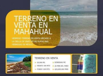 Terreno / Lote · 10000ha · Hectarea Frente Al Mar a 20 Min del Faro de Mahahual 100 m Lineales