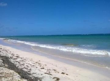 Terreno / Lote · 4570000ha · Ixcalak / Quinata Roo/25 Dollar m²