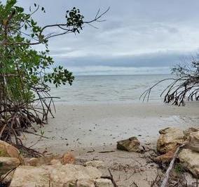 Terreno / Lote · 1424ha · Oportunidad Unica Calderita/chet Tierra Venta Frente Al Mar en Punta Lagarto