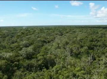 Terreno / Lote · 614ha · 614 m con Titulo de Propiedad en 2 Ojos en Venta