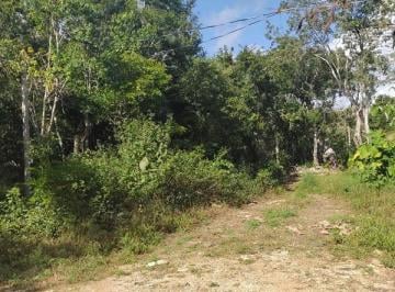 Terreno / Lote · 300ha · Terreno en Macario Gomez de 300 m²