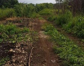 Terreno / Lote · 220ha · Terreno Perfecto Para Depas