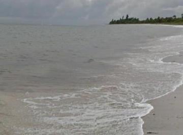 Terreno / Lote · 69000ha · 6.9 Hectáreas en Mahahual
