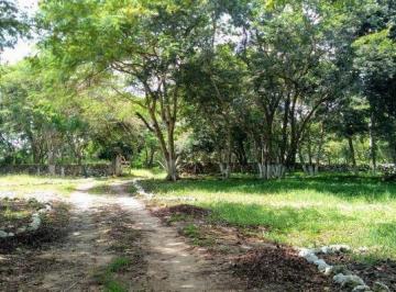 Terreno / Lote · 7210000ha · Propiedad de 721 Hectáreas a Unos Minutos de Tizimin
