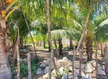 Terreno / Lote · 800ha · 5 Estacionamientos · Se Vende Terreno en El Cuyo, Yucatan, mx.