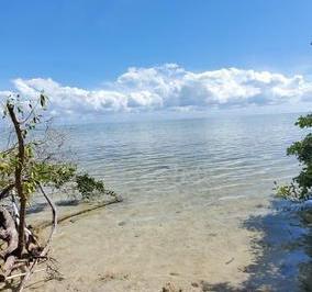 Terreno / Lote · 185000ha · 1 Recámara · 1 Estacionamiento · Ha Frente Al Mar en Chetumal, Qroo Mx.
