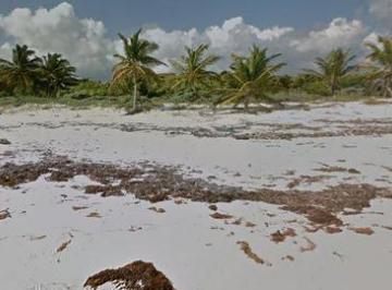 Terreno / Lote · 84000ha · Terreno en Tulum a Pie de Playa