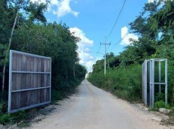 Terreno / Lote · 3300ha · 4 Estacionamientos · Terreno en Venta, Bacalar Qroo, Mx.